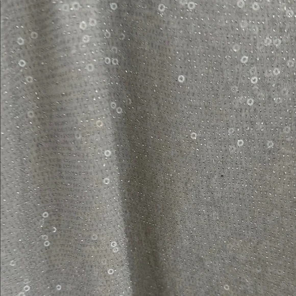 Express Silver Sequin Camisole Top - Picture 3 of 3